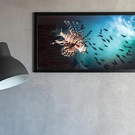 Ocean Loft Apartamento *