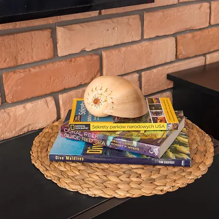 Ocean Loft アパート *